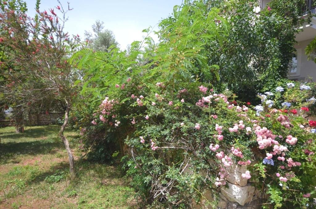 Villa Leton Kleo - Kalkan Center Zewnętrze zdjęcie